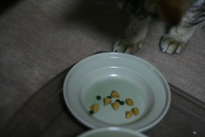 f0055228_19404810.jpg