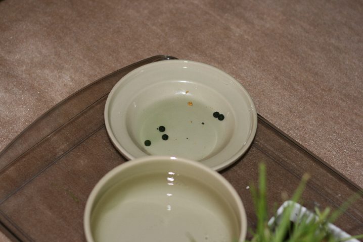 f0055228_19461760.jpg