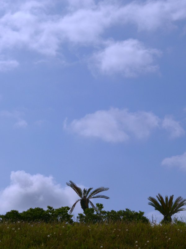d0018131_5524717.jpg