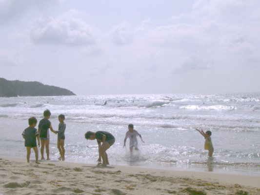 d0018131_5531347.jpg