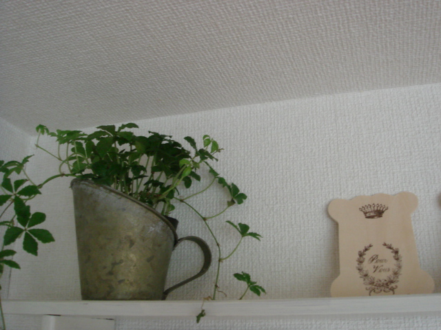 c0100534_111847.jpg
