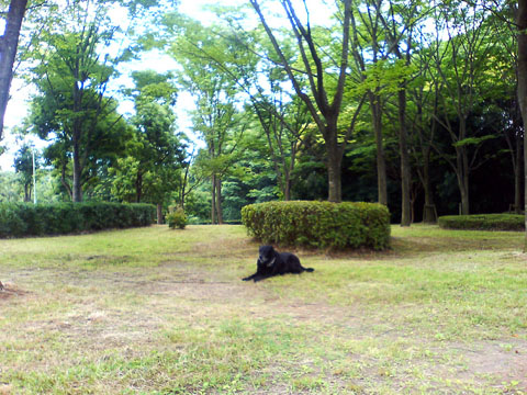 e0044635_11521951.jpg