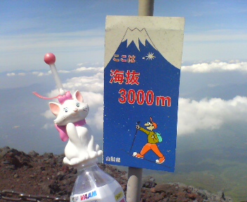 d0107938_14231391.jpg