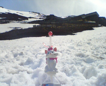 d0107938_1426193.jpg