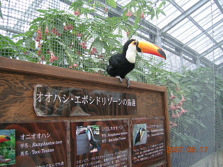 a0030639_0301858.jpg