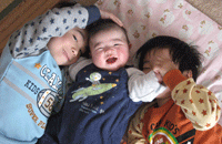 f0047439_23313612.gif