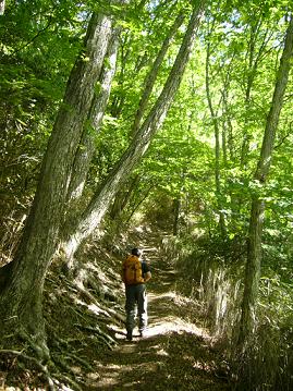 f0065941_175272.jpg