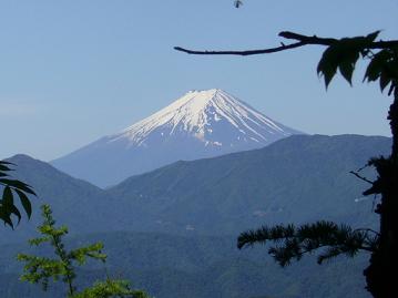 f0065941_1753990.jpg