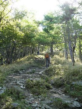 f0065941_1755564.jpg