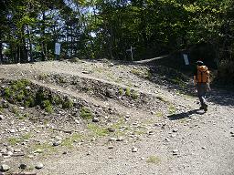 f0065941_177389.jpg