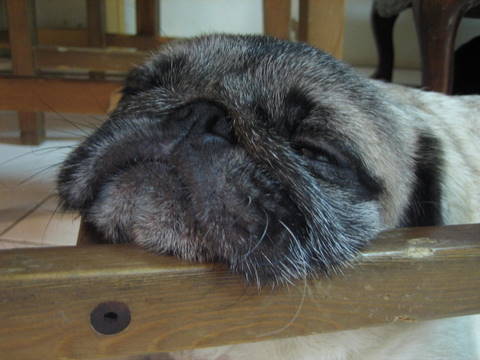 e0018143_1383172.jpg