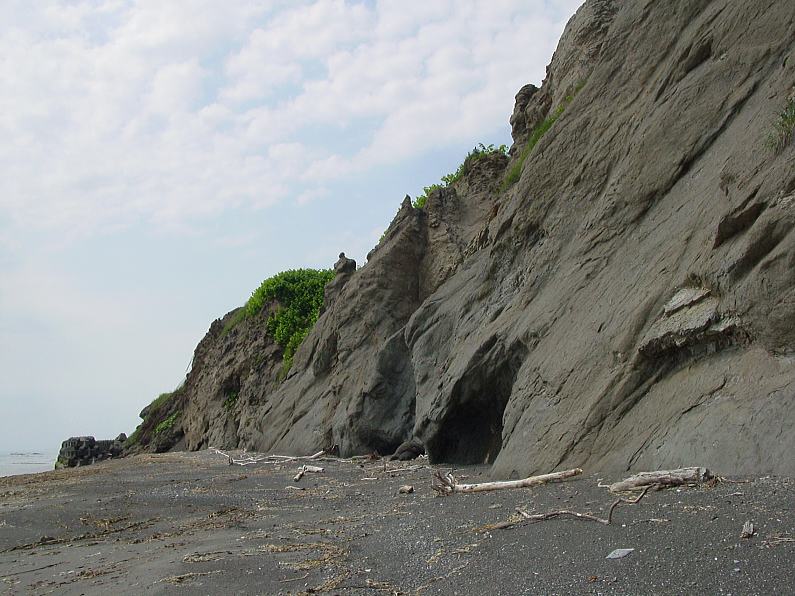 d0085647_2011698.jpg