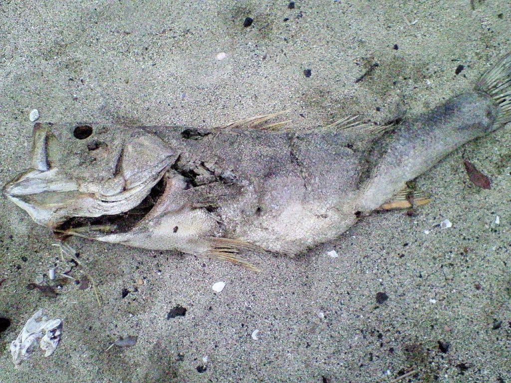 c0019951_23254774.jpg