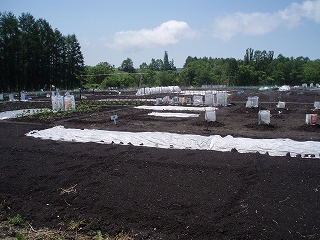 e0004756_2110179.jpg