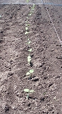 e0004756_21154726.jpg