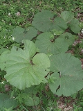 e0004756_21285347.jpg