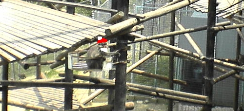 f0091762_20541938.jpg
