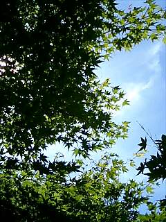 c0061964_2033126.jpg
