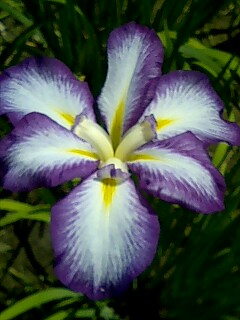 c0061964_20332830.jpg