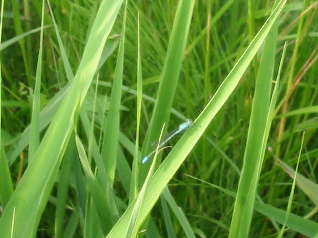 d0094868_19145598.jpg