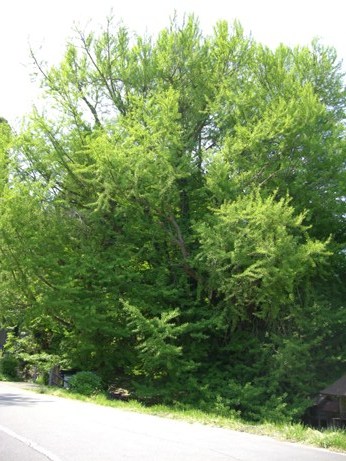 f0116278_23505399.jpg