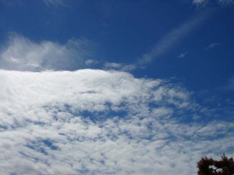 a0079880_23244291.jpg