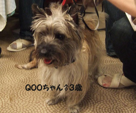 e0066883_2325530.jpg
