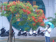c0068090_179789.jpg