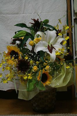 d0100192_2041596.gif