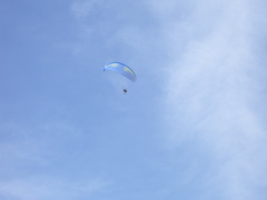 a0061594_015405.jpg