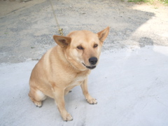 a0061594_019398.jpg