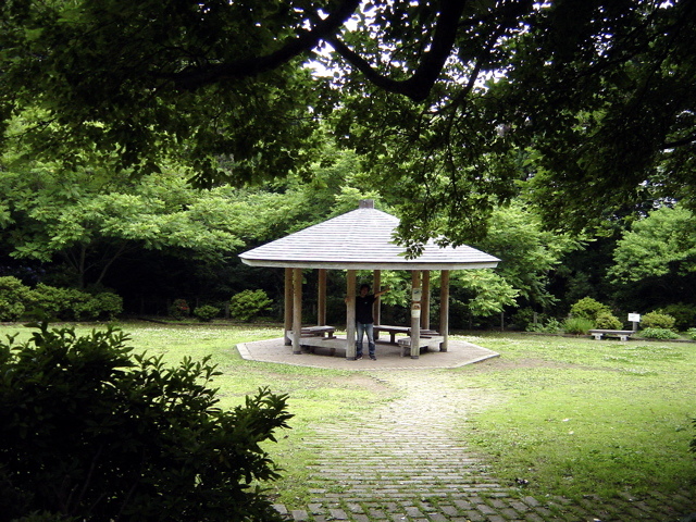 d0010496_21414431.jpg