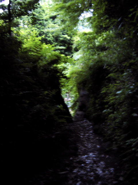 d0010496_2144885.jpg