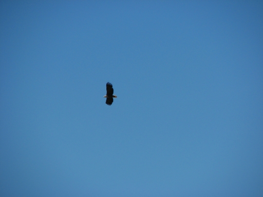 f0020302_201669.jpg
