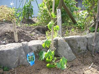 e0119003_231501.jpg