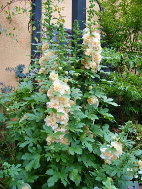 f0065604_20423673.jpg