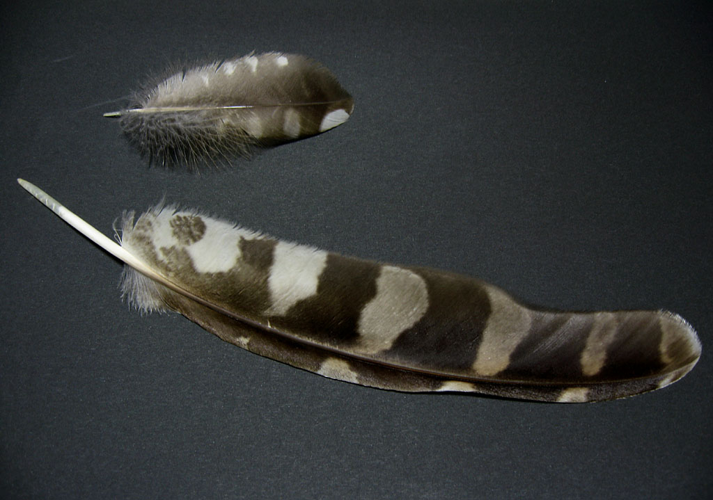 f0003418_21342015.jpg