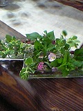 f0139520_2221915.jpg