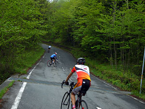 d0023725_758378.jpg