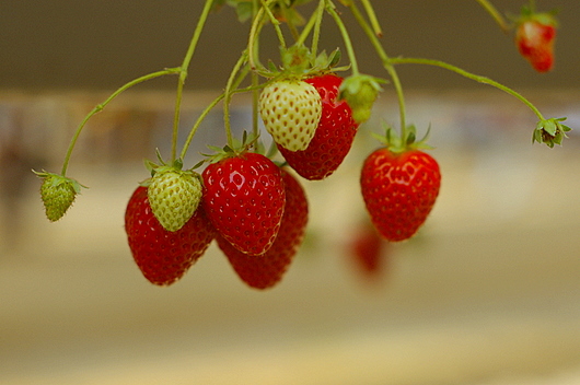 c0045129_22254359.jpg