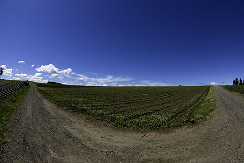 e0025030_13204289.jpg
