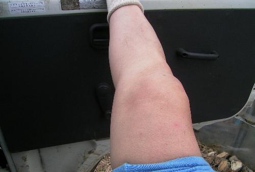 c0072843_20112546.jpg