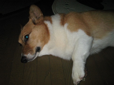 f0087143_18421152.jpg