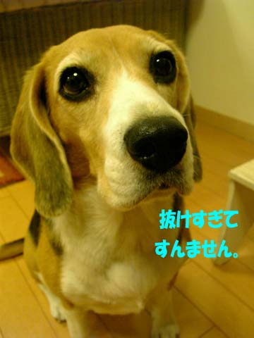 a0042044_23343796.jpg