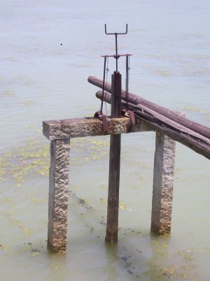 e0020945_1061976.jpg