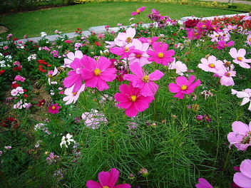 e0100046_0174020.jpg