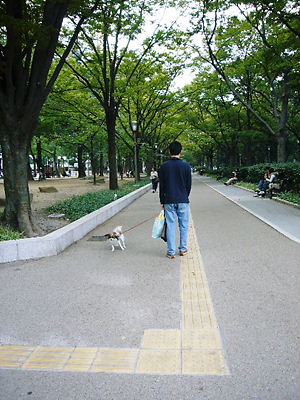e0100046_018247.jpg