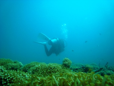 e0027447_14133996.jpg
