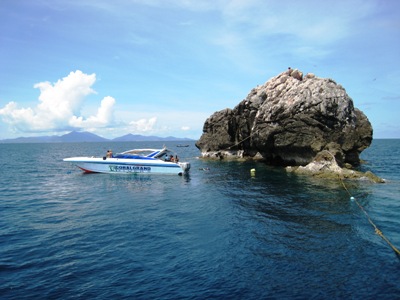 e0027447_2323128.jpg