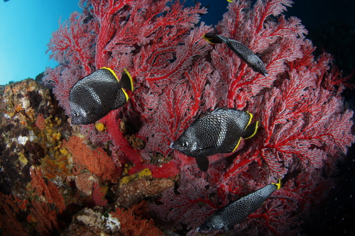 d0021952_26328.jpg